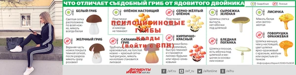дживик Абаза