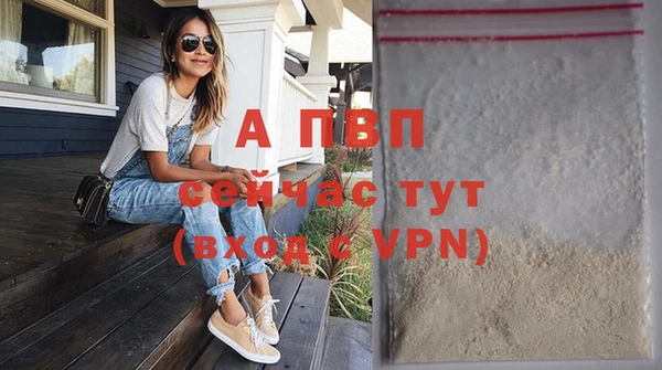 дживик Абаза