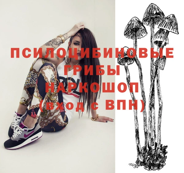 дживик Абаза